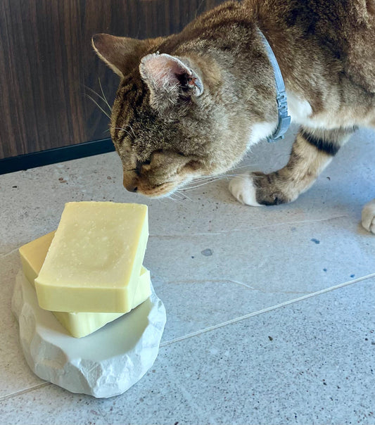 Savon des Fidèles - Shampoing pour animaux